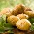 Россия в 2025 году планирует нарастить сбор картофеля и овощей открытого грунта