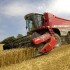 Эксперты заявили, что стоимость пшеницы на российском рынке в январе продолжила расти