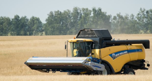 Россия к 4 августа собрала на 8 млн тонн зерна меньше прошлогоднего