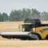 Россия к 4 августа собрала на 8 млн тонн зерна меньше прошлогоднего