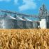 XXIII Международный зерновой раунд «Рынок зерна –  вчера, сегодня, завтра» 7–10 июня 2022 года (г. Геленджик)