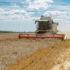 Экспортные отгрузки пшеницы из России в ноябре выросли в 1,7 раза в сравнении с ноябрем прошлого года