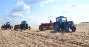 Вклад ставропольских фермеров в производство зерна вырос вдвое