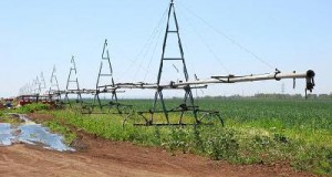 В России будут активно бороться с опустыниванием сельхозземель