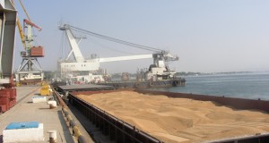 Минсельхоз инициирует разработку проектной документации на строительство судов-зерновозов