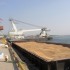 «Росагролизинг» готовит к запуску серийное производство крупных морских зерновозов