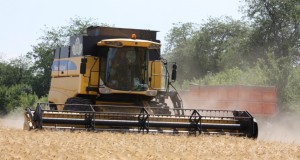 Экспорт зерна из России во второй половине июля резко активизировался