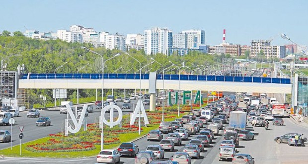 В Башкирии начали убирать озимый рыжик