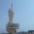 В Дагестане под выращивание хлопчатника отведут 225 га пашни