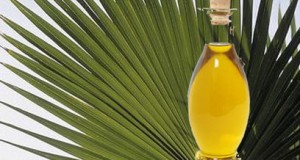 Володин предложил ведомствам обсудить причины роста поставок пальмового масла в РФ