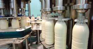Депутаты Госдумы попросили ФАС проверить цены на молочку в рознице