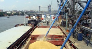 Правительство утвердило квоты на экспорт зерна из России