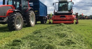 На базе Ставропольского государственного аграрного университета создана “Школа фермера”