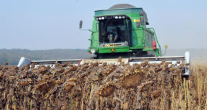 Производство сельхозпродукции в Краснодарском крае выросло почти на 13%