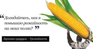 25 февраля 2021 г. Секреты богатого урожая кукурузы
