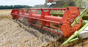 В Саратовской области собраны первые 100 000 тонн зерна нового урожая
