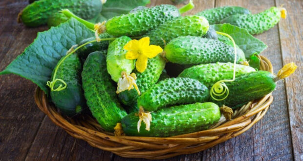 Готовятся поправки в закон о торговле, фиксирующие диапазон цен на продукты